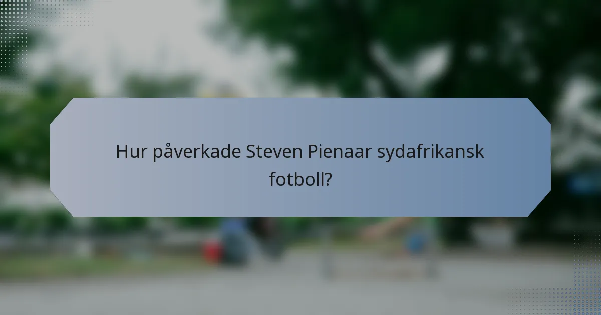 Hur påverkade Steven Pienaar sydafrikansk fotboll?