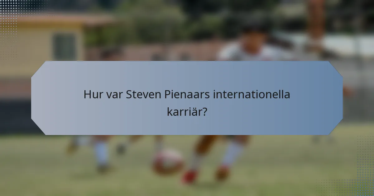 Hur var Steven Pienaars internationella karriär?
