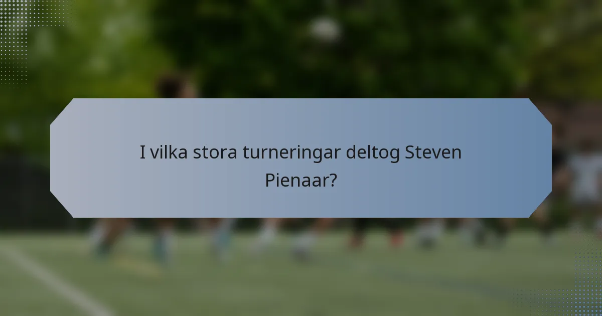 I vilka stora turneringar deltog Steven Pienaar?