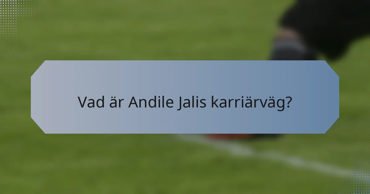 Vad är Andile Jalis karriärväg?