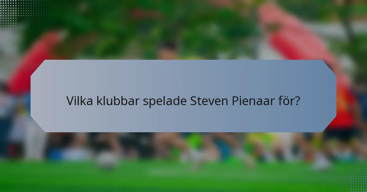 Vilka klubbar spelade Steven Pienaar för?